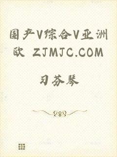 国产V综合V亚洲欧 ZJMJC.COM